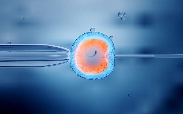 Read more about the article A SZMC patient writes a guide for contending with the challenges of fertility treatments