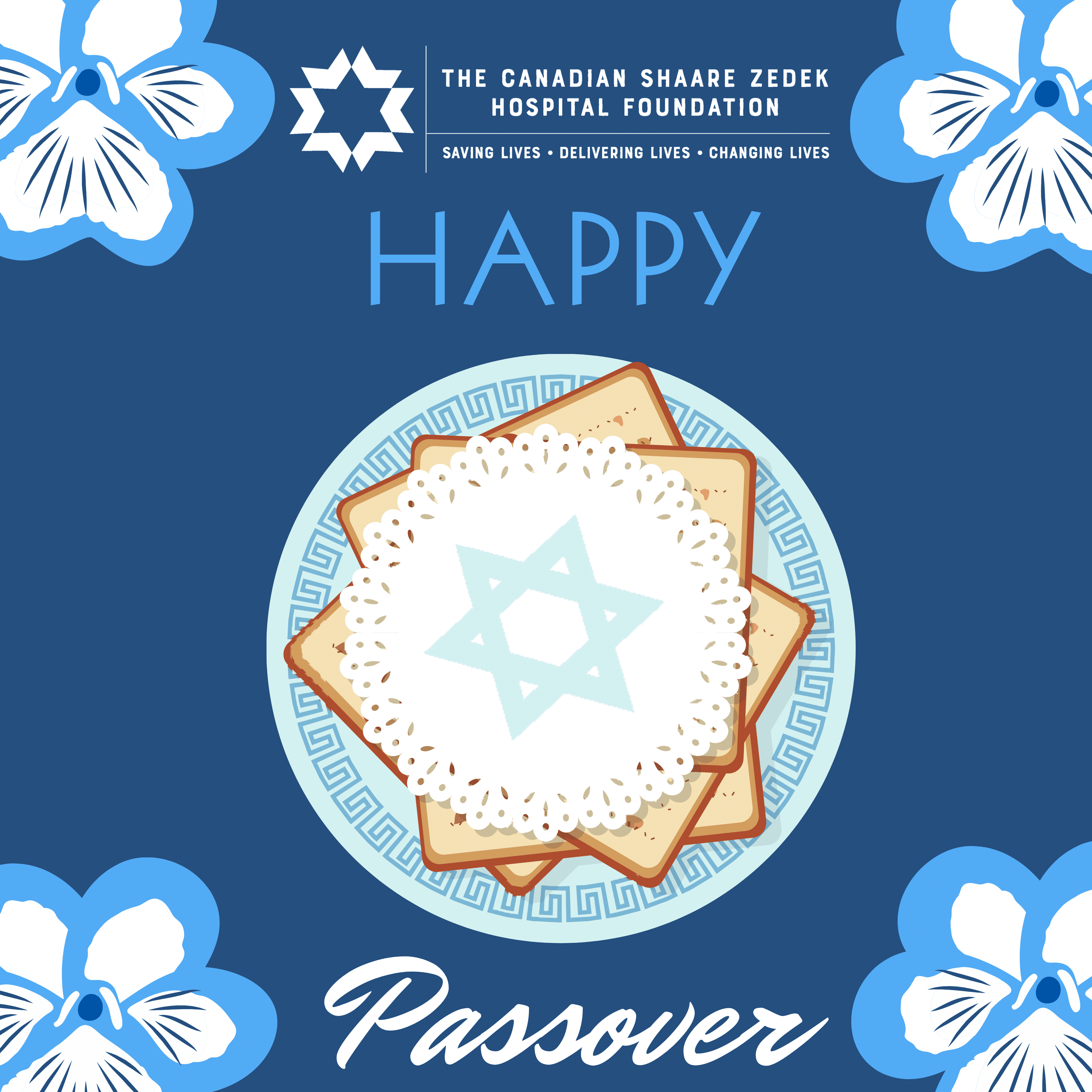 Read more about the article Thoughts On Passover: The Merit Of Passing Over